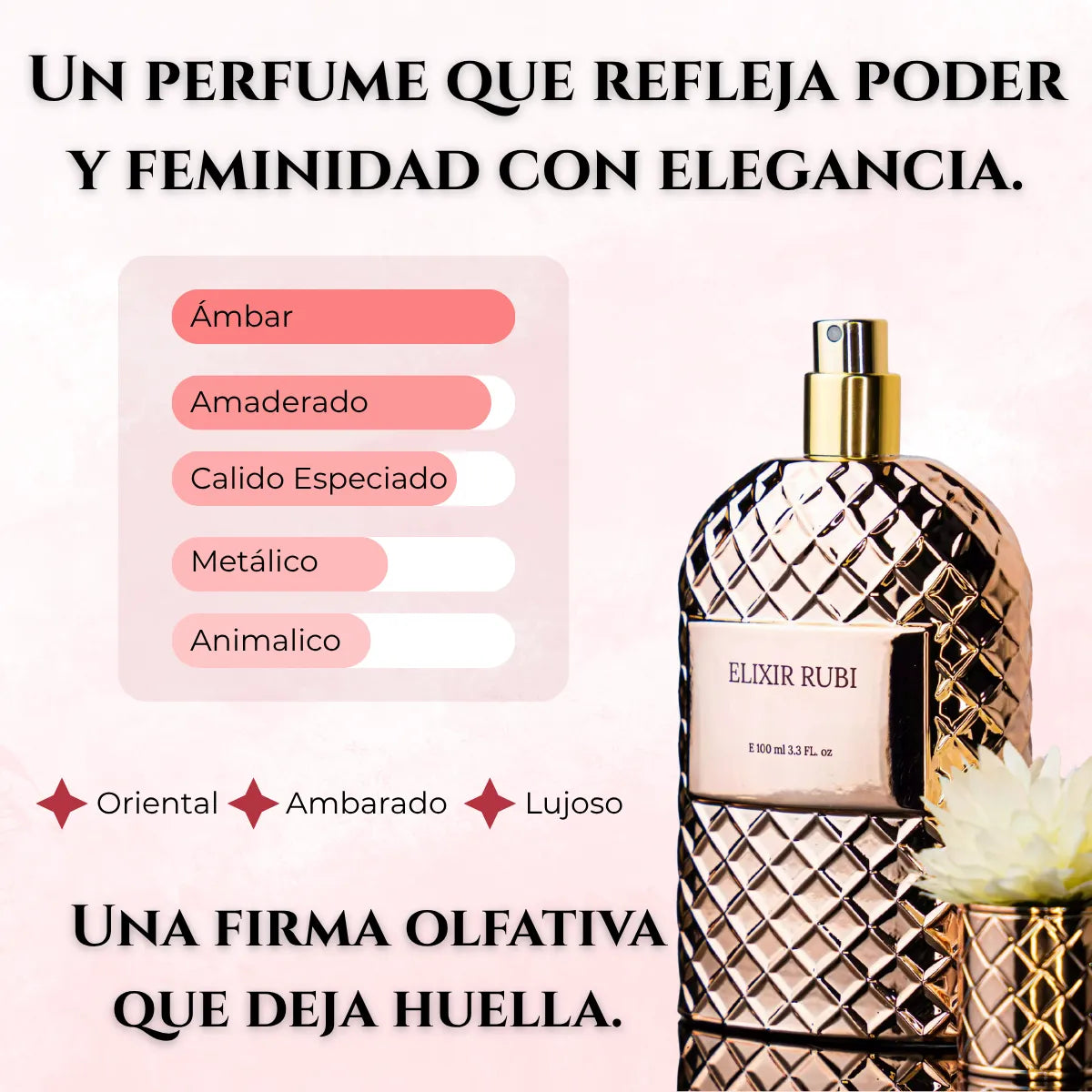 Elixir Rubi