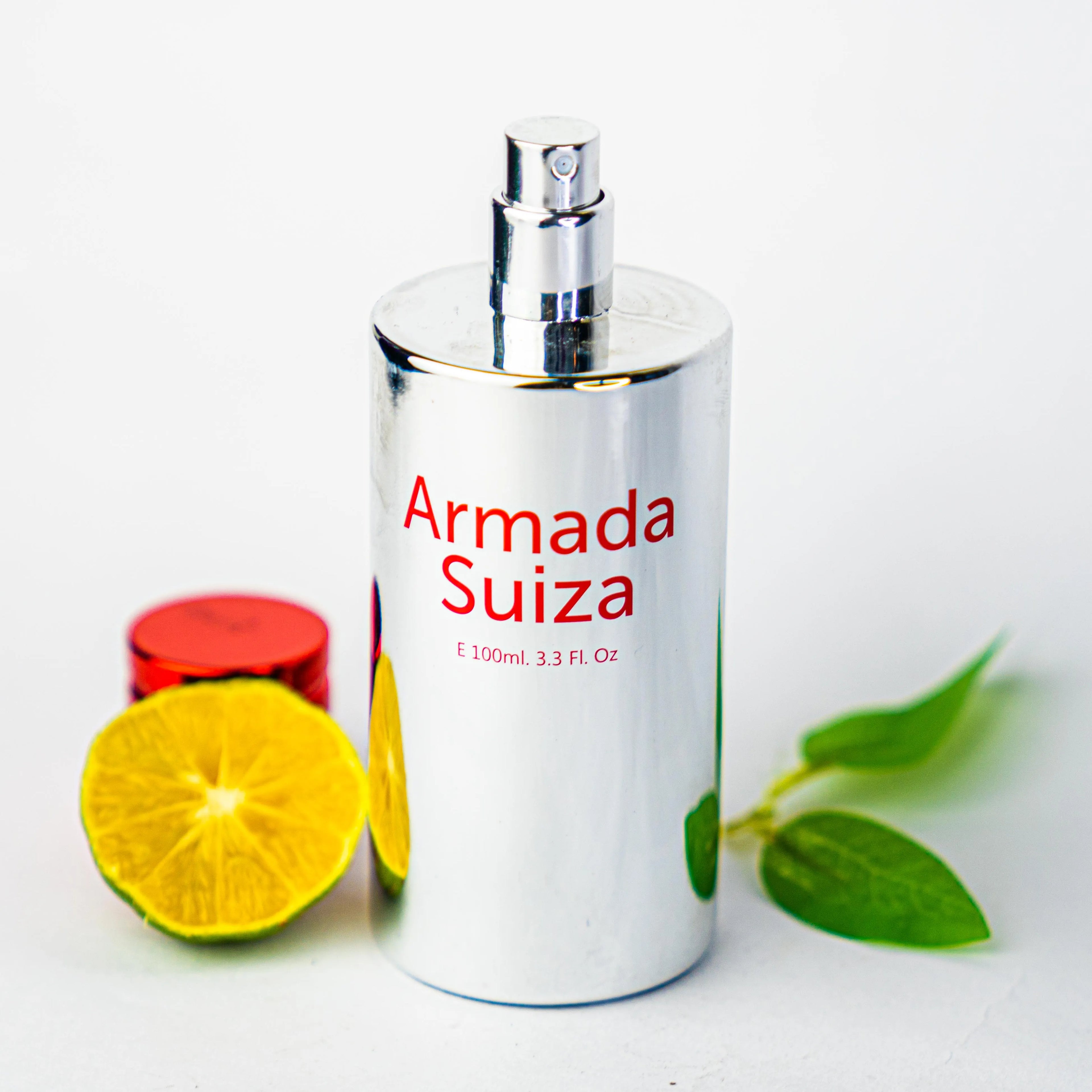 Armada Suiza Hombre