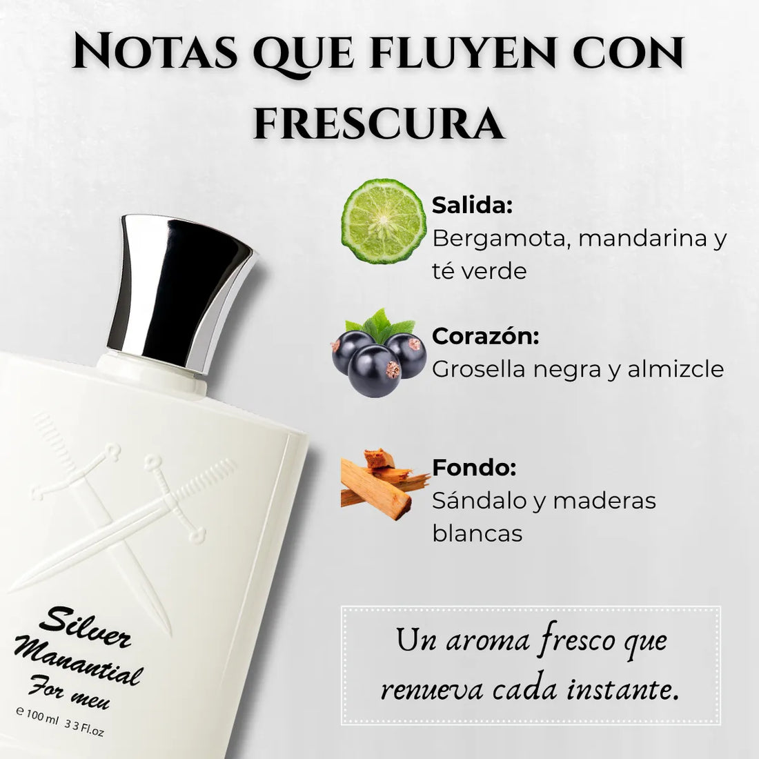Silver Manantial Hombre