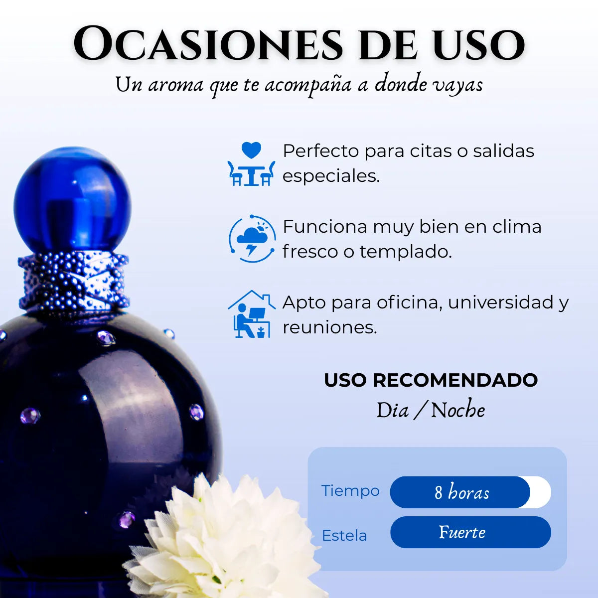 Fantastic Night Dama